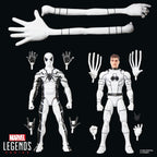Marvel Legends Series Future Foundation Spider-Man & Mr. Fantastic 2-Pack Action Figures