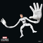 Marvel Legends Series Future Foundation Spider-Man & Mr. Fantastic 2-Pack Action Figures