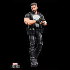 Marvel Legends Series The Punisher Action Figure