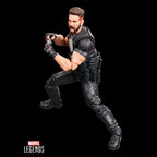 Marvel Legends Series The Punisher Action Figure