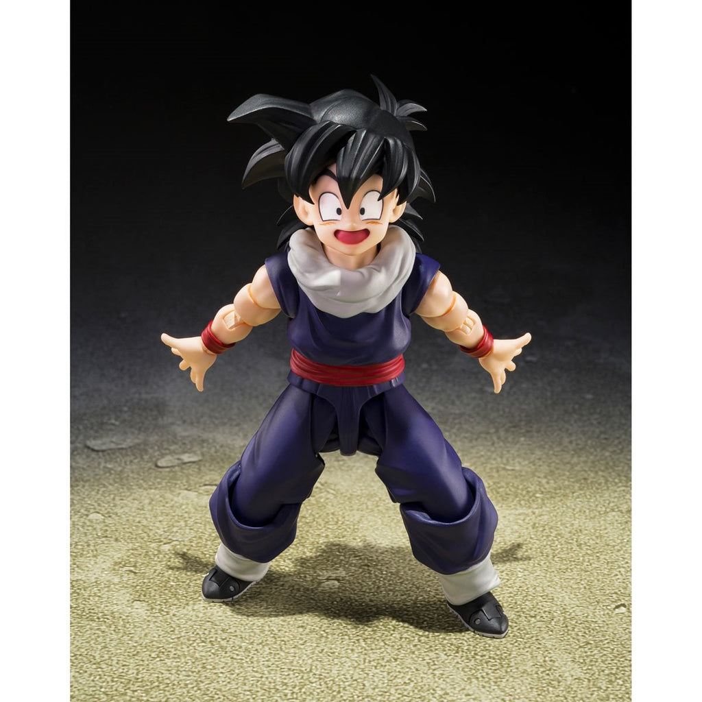 S.H.Figuarts Dragon Ball Z Son Gohan Z-Fighters Limited Edition Z-Fighters Group Base Ver. A Action Figure