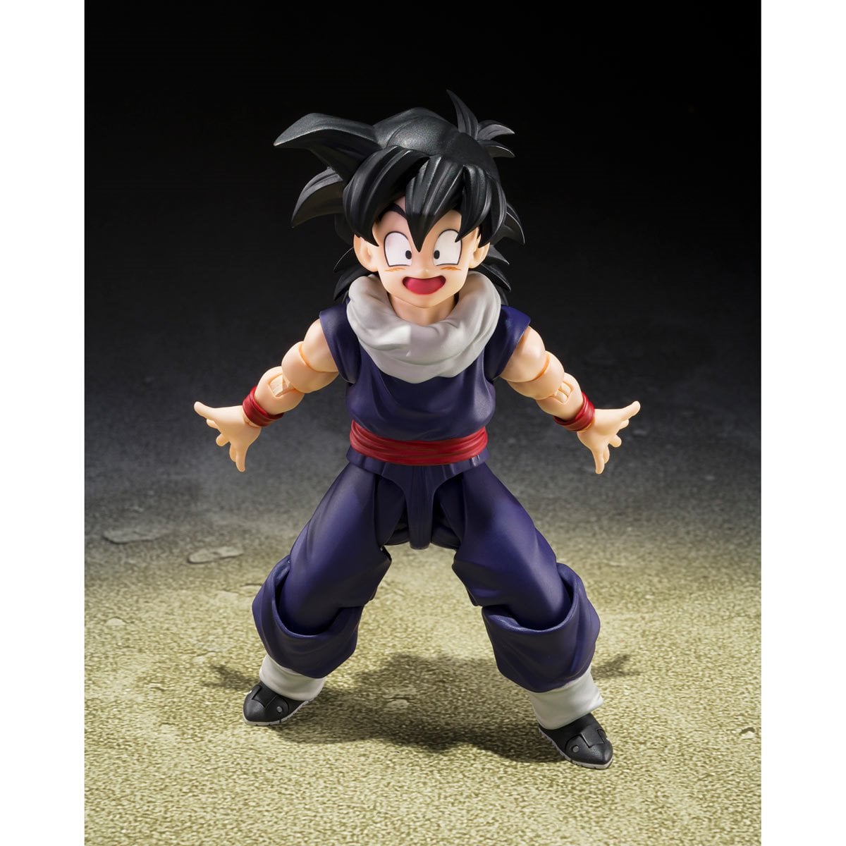 S.H.Figuarts Dragon Ball Z Son Gohan Z-Fighters Limited Edition Z-Fighters Group Base Ver. A Action Figure