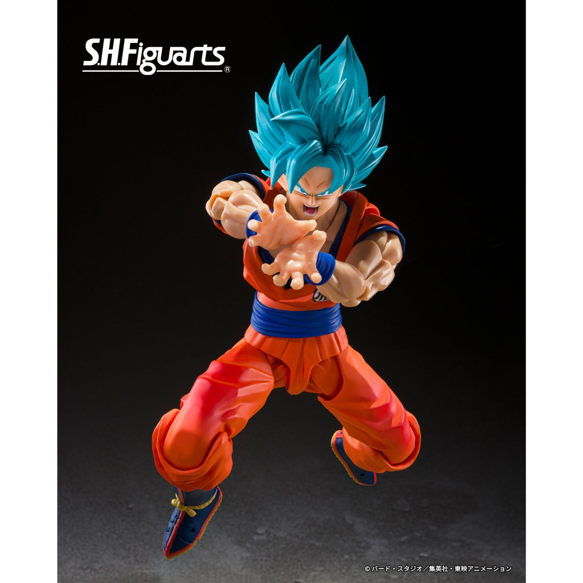Dragon Ball Z Super Saiyan Blue Goku (Blue Power Transcending Limits) S.H.Figuarts Action Figure